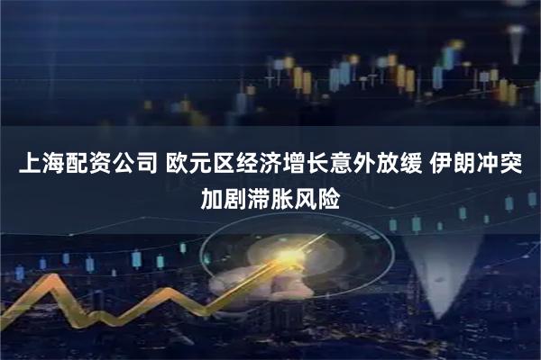 上海配资公司 欧元区经济增长意外放缓 伊朗冲突加剧滞胀风险